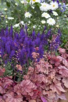 Parterre de fleurs sur le thème violet dans Bee Inspired' - Magnifiques parterres de fleurs au BBC Gardener's World Live 2018, juin