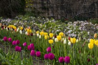 Rangées de tulipes à couper dans le potager du Gravetye Manor avec des pommiers en marche en arrière-plan.