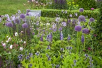 Plantes vivaces violettes mélangées dans le « Experience Peak District and Derbyshire Garden » au RHS Chatsworth Flower Show 2017, juin