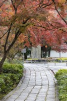 Chemin incurvé de blocs de pierre dans le complexe du temple surplombé d'acers aux couleurs d'automne.