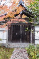 Passerelle en bois et arche carrelée dans le mur du jardin avec acer de couleur automnale et feuilles tombées sur le chemin.