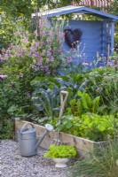 Passoire de laitue récoltée, arrosoir et fourche de jardin devant le parterre de fleurs surélevé plein de récoltes. Pois de senteur grimpant sur le support de canne et gazebo peint en bleu en arrière-plan. 