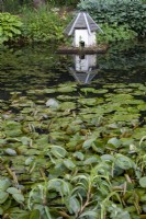Maison de canard flottante ornée parmi les nénuphars dans un grand étang 