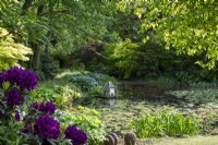 Etang animalier verdoyant dans un jardin ombragé avec plantation marginale d'hostas, d'iris et d'azalées. Maison de canard flottante ornée parmi les nénuphars 
