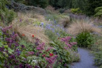 Sentier serpentant à travers des parterres de fleurs d'été avec des congères de Chionochloa rubra, de Red Tussock Grass, de Rodgersia pinnata 'Chocolate Wing' et un mélange d'annuelles et de vivaces. 