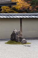 Le Rock Garden avec du gravier ratissé et des pierres placées dans l'île de mousse. Murs d'argile avec toits de tuiles. Acers aux couleurs automnales à l'extérieur du jardin. 