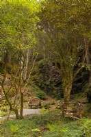 Une chaise rustique en bois et un pont en rondins sous une falaise rocheuse dans le vieux bois et le Rhododendron Dell. 