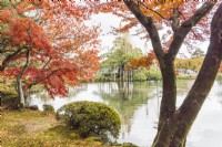 Vue sur l'étang de Kasumigaike encadré d'arbres aux couleurs automnales. 