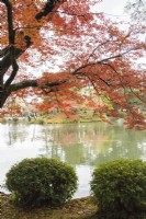 Vue sur l'étang de Kasumigaike encadré d'arbres aux couleurs automnales. 