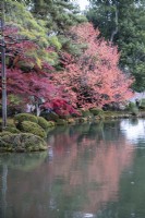 Arbres aux couleurs automnales se reflétant dans l'eau de l'étang Kasumigaike. 