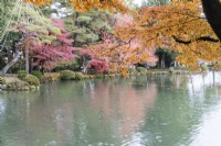 Arbres aux couleurs automnales se reflétant dans l'eau de l'étang Kasumigaike. La pluie éclabousse la surface de l'étang. 