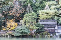 Vue sur l'étang jusqu'au bâtiment de la Maison de Thé et à plusieurs arbres avec des wigwams de bambou et de corde comme protection contre les dommages causés par la neige appelés Yukitsuri. 