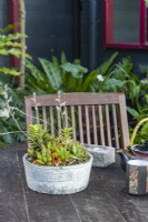 Un pot de plantes succulentes mélangées sur une table en bois. 