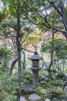 Lanterne en pierre ou Ishidoro entourée d'arbustes à feuilles persistantes 