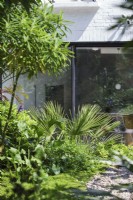 Plantation verdoyante dans un parterre de fleurs avec vue sur une maison contemporaine 