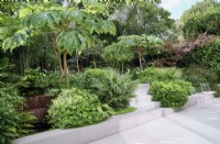Jardin tropical avec terrasse blanche et marches à travers une plantation luxuriante 