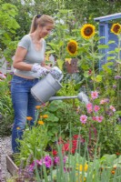 Faire de l'engrais et de l'insecticide à base d'ortie. Femme arrosant dans le jardin avec une solution à base d'orties et d'eau pour une croissance meilleure et plus saine. 
