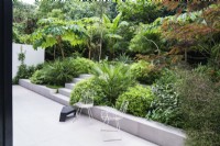 Deux chaises en métal blanc dans un jardin moderne avec des plantations tropicales luxuriantes, notamment Chamaerops, Pittosporum et Tetrapanax Rex 