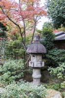 Lanterne en pierre ou Ishidoro entourée d'arbustes à feuilles persistantes et d'Acer aux couleurs d'automne. 