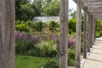 Une pergola en bois au-dessus d'un chemin de gravier longe des parterres de fleurs d'été avec des salvias, des graminées et des Ilex crenata. 