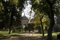 Un large chemin, à deux, avec de grands arbres et des pelouses dans les Jardins Inglés, le Jardin Anglais. Jardins du véritable palais de l'Alcazar, Séville. Espagne. Septembre. 