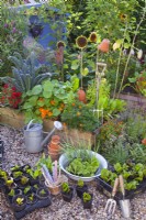 Exposition de plants de légumes et d'outils avec un parterre de fleurs surélevé rempli de légumes en croissance, d'herbes aromatiques et de fleurs annuelles en arrière-plan. 