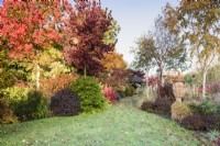 Jardin d'automne coloré rempli d'arbustes et d'arbres, notamment des liquidambars, des bouleaux et de l'Acer rubrum 'October Glory''. 