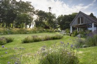 Jardin de campagne avec parterres insulaires de plantes herbacées vivaces et de graminées ornementales, dont Verbena bonariensis en juillet 