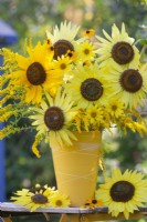 Arrangement floral sur le thème jaune avec Helianthus et Solidago. 