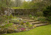 Phlox subulata - moss phox, Primulas et Pulsatilla dans un jardin de rocaille à côté de marches en pierre dans les jardins du château de Cawdor. 