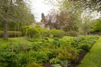 Parterres de fleurs printanières dans le jardin fleuri des jardins du château de Cawdor. 