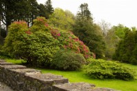Floraison de rhododendrons dans les jardins du château d'Armadale. 