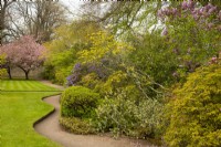 Un parterre de fleurs d'Acer, de Rhododendron, de Syringa, d'Erica et de Prunus le long d'un chemin incurvé dans les jardins du château de Cawdor. 