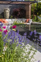 Parterre de fleurs vivaces planté de Nepeta et d'Ixia dans un jardin moderne avec plan d'eau. Créateur : Kevin Dennis, Bord Bia Bloom 2023 