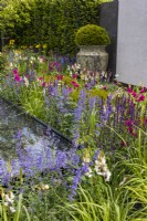Un parterre de fleurs vivaces d'été coloré dans un jardin moderne planté de Nepeta, Salvia, Ixia entoure la pièce d'eau. Grand pot en céramique avec boule d'if en fond. Créateur : Kevin Dennis, Bord Bia Bloom 2023 