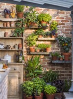 Herbes et légumes poussant dans des pots sur des étagères dans une cuisine extérieure contre un mur de briques. The Savills Garden, Designer : Mark Gregory, RHS Chelsea Flower Show 2023, mai, printemps, été 