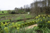 Vue sur les euphorbes et la boîte coupée sur le potager géométrique et l'Exedra au jardin rococo de Painswick dans le Gloucestershire en mars 