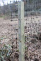 Détail de la cage composée de poteaux en bois avec filet en plastique pour protéger les arbres nouvellement plantés des animaux brouteurs. Mars. Printemps. 