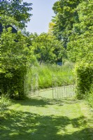 Portails ornementaux en fer forgé installés dans un charme - Carpinus betulus - haie au bout d'un large chemin d'herbe tondue menant à un verger avec de l'herbe rugueuse dans un jardin de campagne. Juin 
