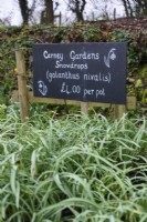 Panneau en ardoise dans une zone de vente de plantes à Cerney House Gardens en mars 