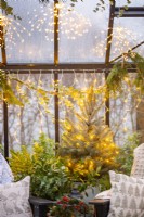 Arbre de Noël couvert de guirlandes lumineuses planté dans un seau métallique à l'intérieur d'une serre 